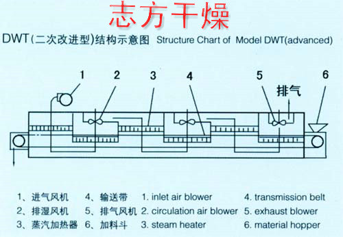 DWT系列银耳专用带式干燥机