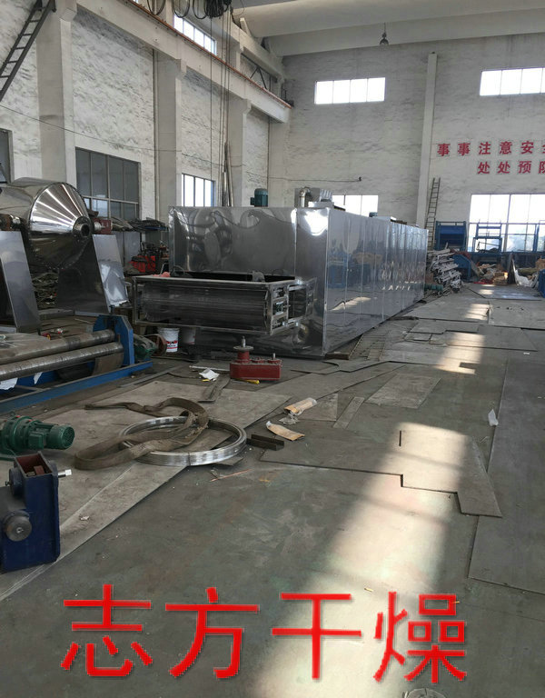 DWT系列银耳专用带式干燥机