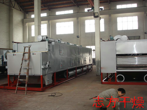 DWT系列银耳专用带式干燥机